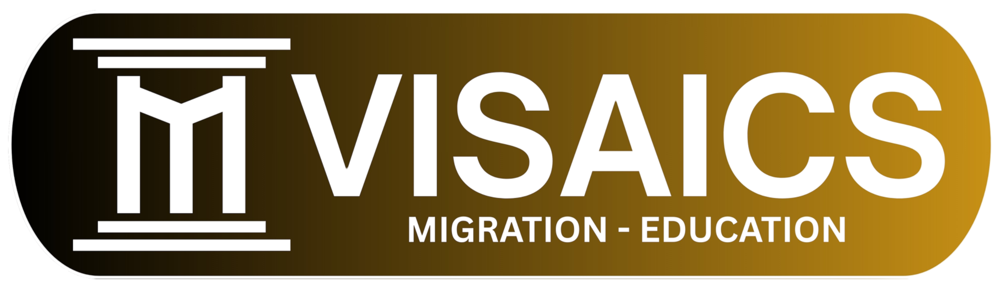 logo_visaics